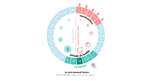 Guide complet sur l'utilisation de nos tests d'ovulation FERTILITEST : Quand et comment les utiliser?