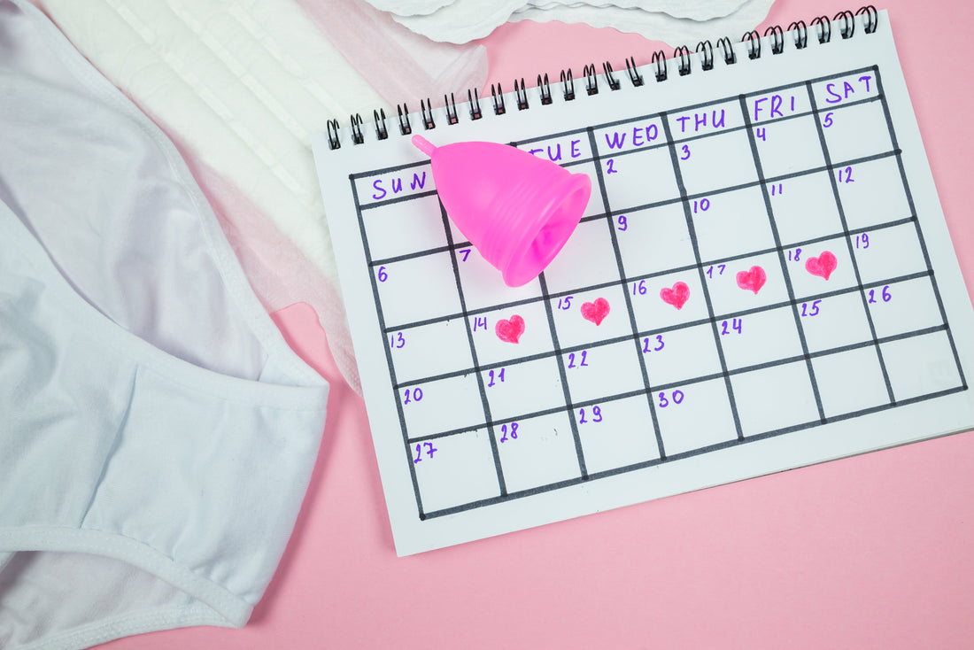 Calendrier d’ovulation personnalisé : calculer vos jours fertiles, reconnaître les symptômes et choisir des compléments naturels efficaces