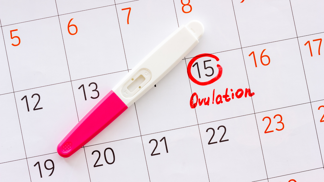 Pourquoi je n'arrive pas à tomber enceinte alors que j'ovule ? La vérité sur la qualité de l’ovulation