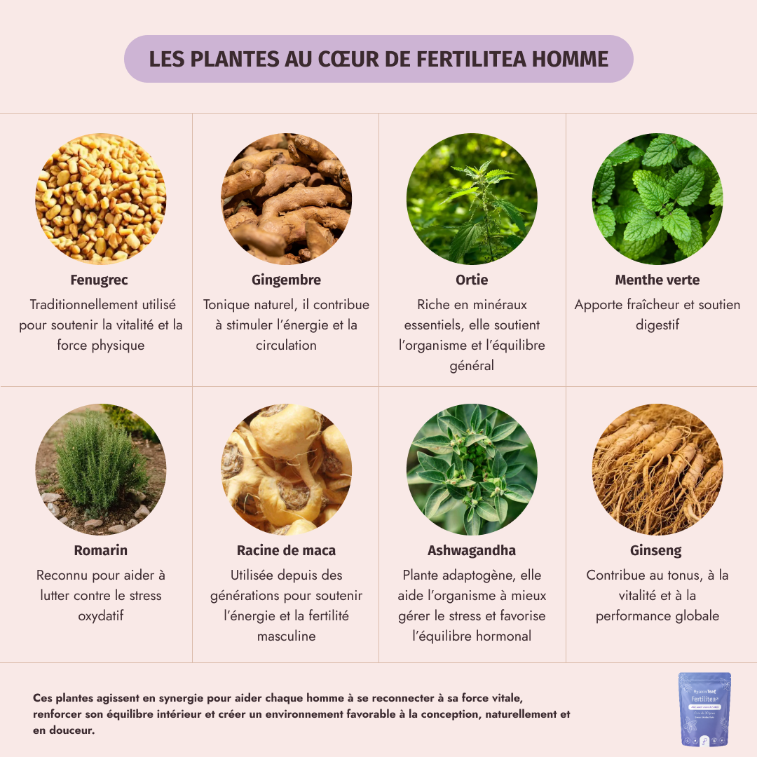 Box fertilité couple - My secretea