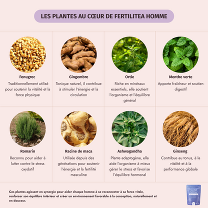 Box fertilité couple - My secretea