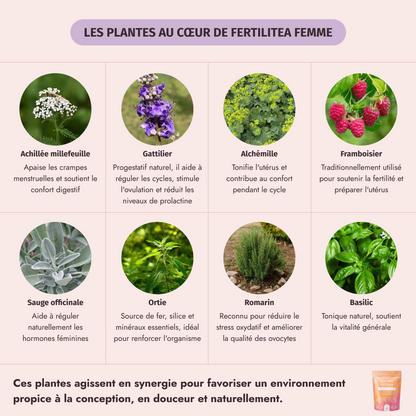 Box fertilité femme My Secret Tea