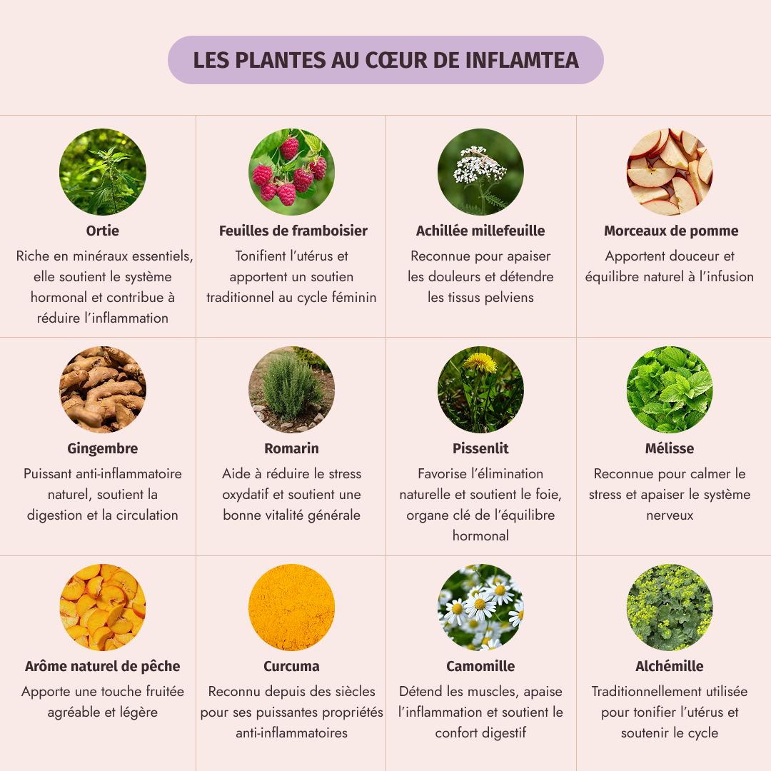 Box fertilitea & inflamtea - My secretea