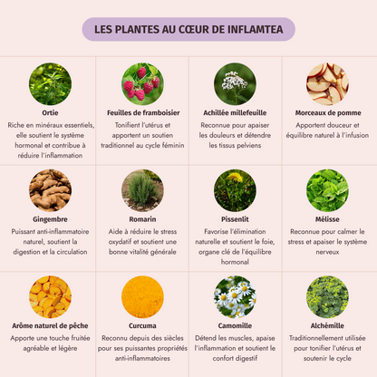 Box fertilitea & inflamtea - My secretea