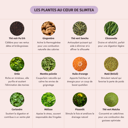 Box minceur ( Body Slim) - My secretea