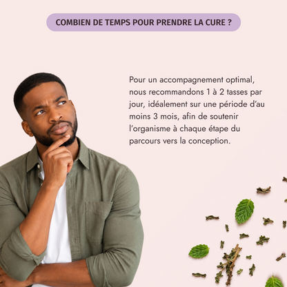 Fertilitea Homme - My secretea
