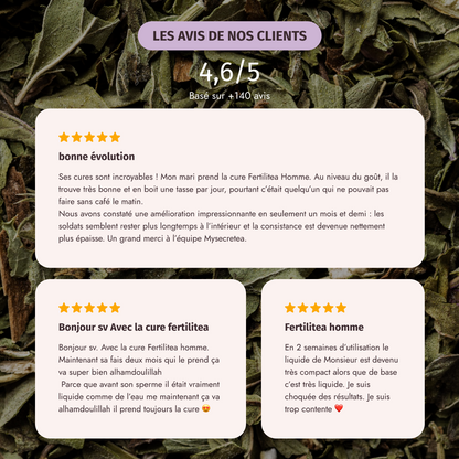 Fertilitea Homme - My secretea