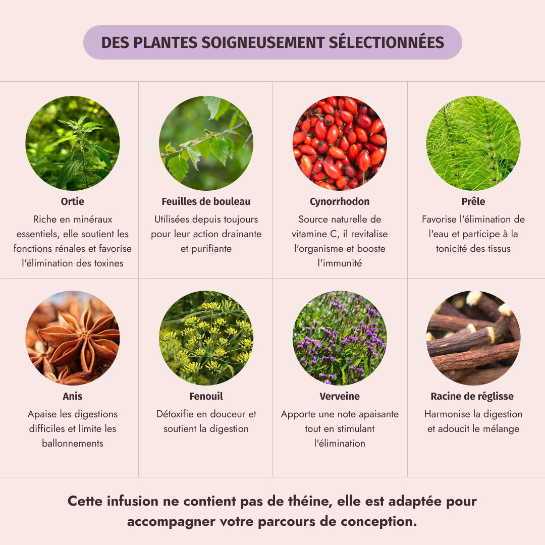 Teatox My secretea