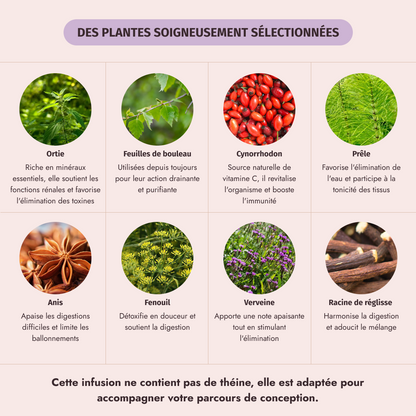 Teatox My secretea